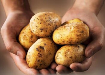 Cómo insertar papas en una dieta de pérdida de peso que satisfaga hasta a los más comelones