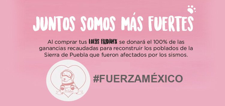 Apoya a la causa y adquiere la edición especial de los tenis FridaMX