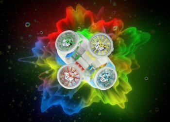 Big Bold Jelly, la recreación continúa