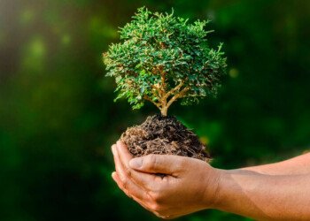 Envases ecológicos: el futuro del planeta