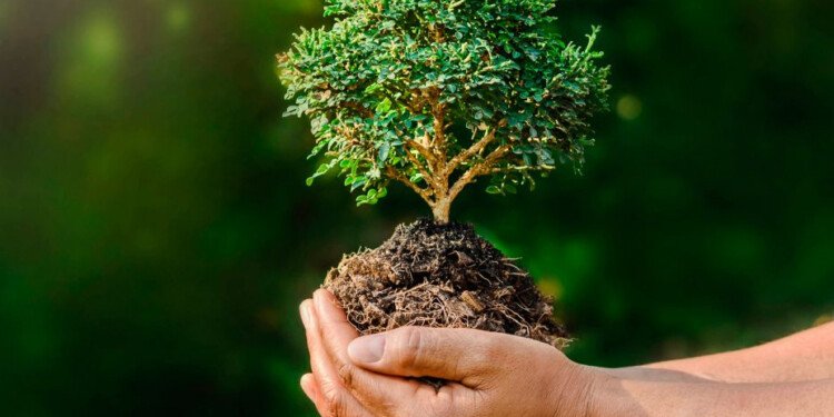 Envases ecológicos: el futuro del planeta