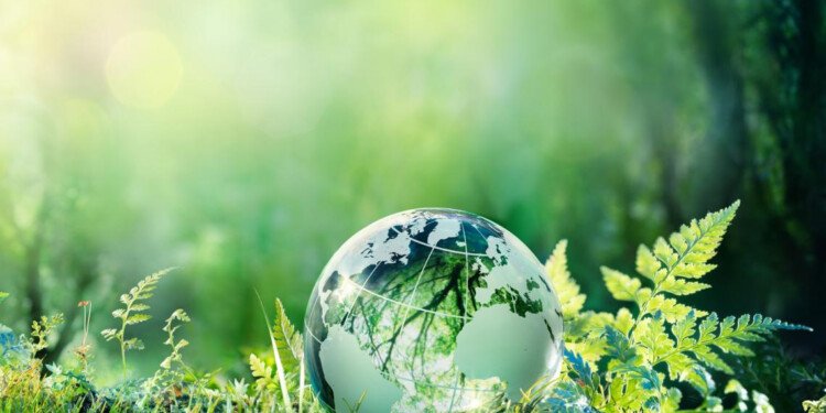 Garnier lanza la iniciativa transformadora Green Beauty. Estableciendo como objetivo reducir radicalmente el impacto medioambiental global de la marca