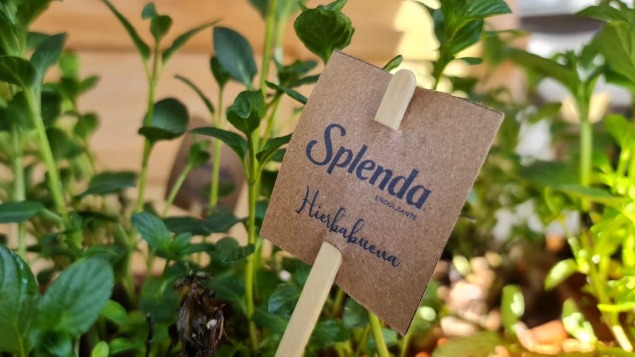 Haz tu propio huerto en casa y prepara el smoothie perfecto para comenzar el año más natural