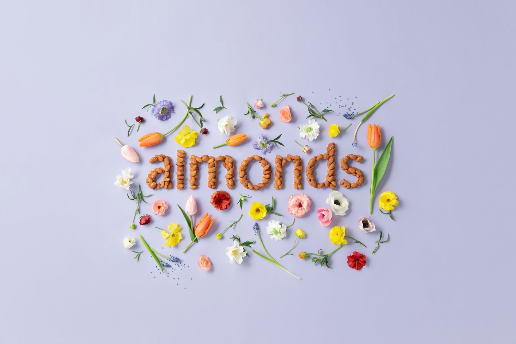 La ciencia de la saciedad