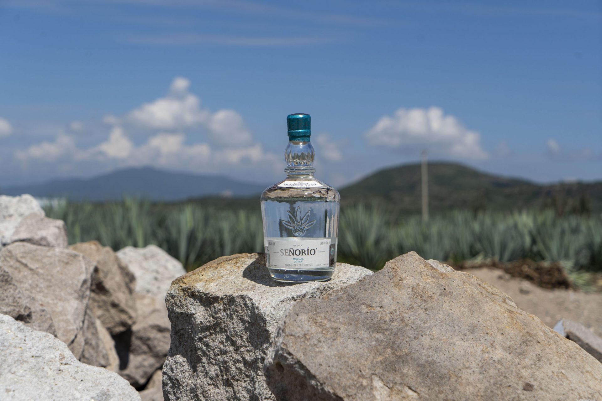 Sorprende a tu papá con celebración en casa en su día