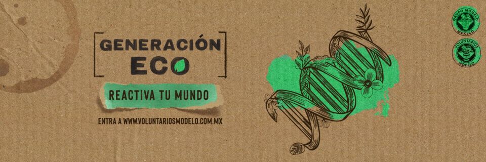 Grupo Modelo lanza “Generación Eco” en el marco del Día Mundial del Medio Ambiente