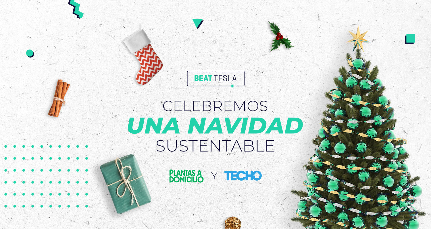 Beat Tesla celebra la verde Navidad regalando árboles sustentables a sus pasajeros