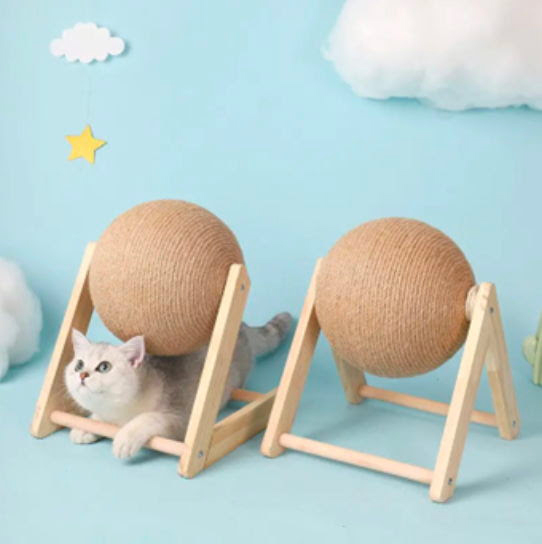 Tu gato merece la vida de un rey: ¡Dásela!