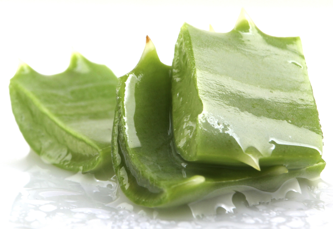 Aloe Vera Vs Cocoa, ¿cuál es la mejor opción?