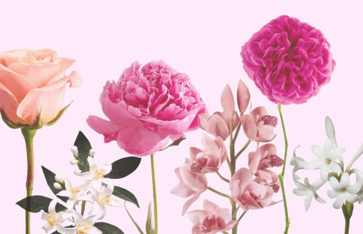 Sprink! Una primavera muy rosa