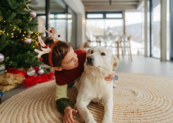 RETO DE DICIEMBRE… Integrar a las mascotas en las festividades