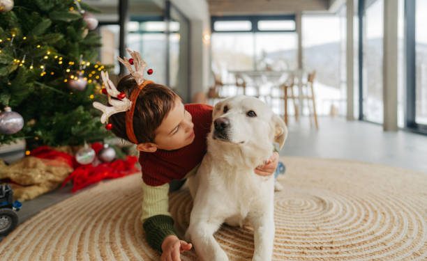 RETO DE DICIEMBRE… Integrar a las mascotas en las festividades
