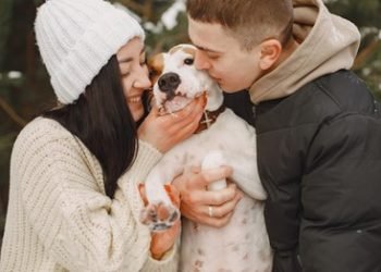 En este nuevo año, confía en Full Trust® para nutrir a tu perro con estos alimentos