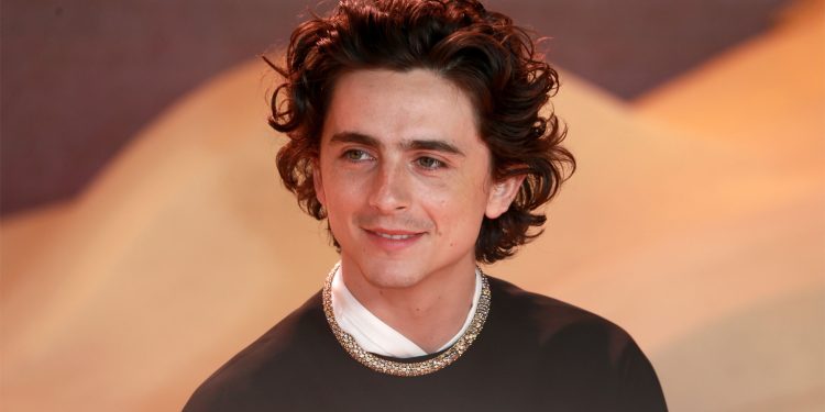 Timothée Chalamet nuevamente será anfitrión de Saturday Night Live: La estrella de Hollywood actuará y brindará un imperdible show en vivo