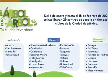 Recicla tu árbol de Navidad: Walmart de México y Centroamérica habilitará 29 Centros de Acopio en Ciudad de México