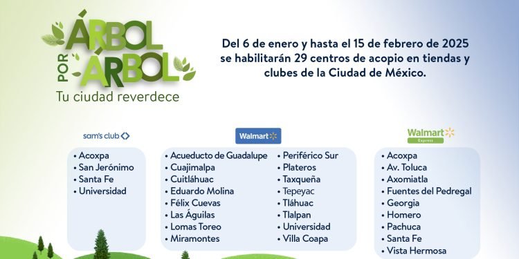Recicla tu árbol de Navidad: Walmart de México y Centroamérica habilitará 29 Centros de Acopio en Ciudad de México