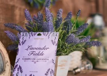 Supera el Blue Monday a través de la alegría de los aromas