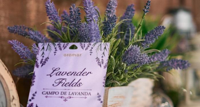 Supera el Blue Monday a través de la alegría de los aromas