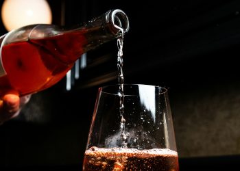 Celebra el Día Global de Beber Vino y descubre sus beneficios para la salud