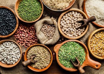 Nutritivas y versátiles: Descubre cómo incorporar legumbres en tu dieta
