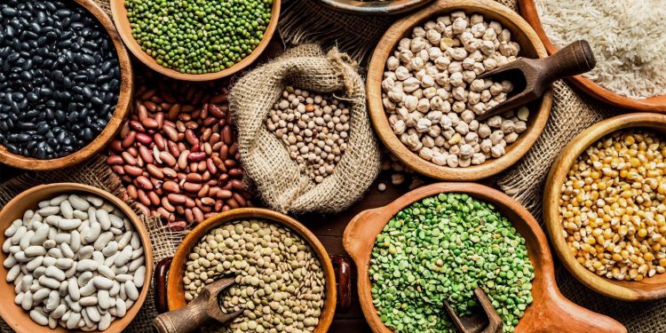 Nutritivas y versátiles: Descubre cómo incorporar legumbres en tu dieta