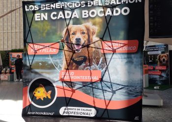 Ganador® Premium lanza su nuevo alimento con los beneficios de la proteína de Salmón