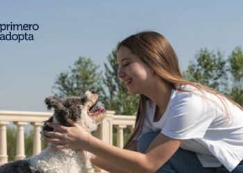 ¡Petco México llegó a la adopción 100 mil!