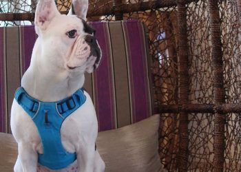 Que tu próximo road trip deje huella