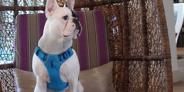 Que tu próximo road trip deje huella