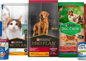 Purina® y Ecolana juntos en una nueva edición del Flextival