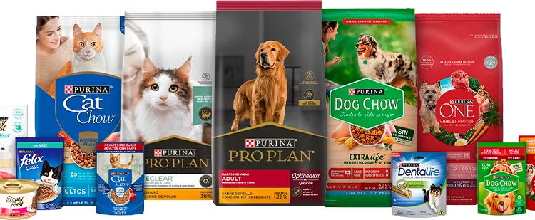 Purina® y Ecolana juntos en una nueva edición del Flextival