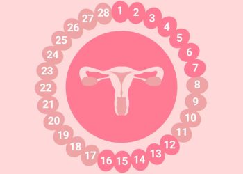 Essity, en colaboración con UNICEF y #MenstruaciónDignaMéxico lanzan el primer concurso de cortometrajes sobre el ciclo menstrual