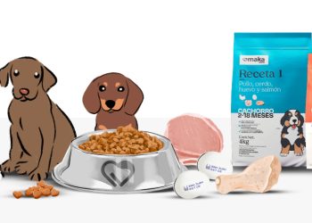 Cómo cuidar la salud de tu perro ante la llegada de la primavera