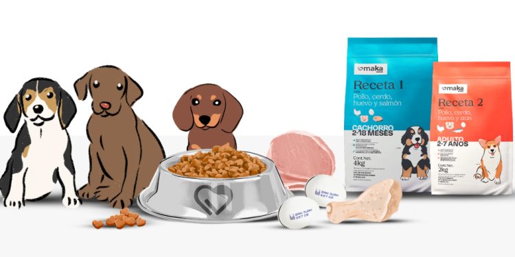 Cómo cuidar la salud de tu perro ante la llegada de la primavera