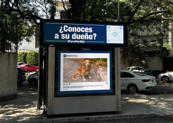Medio de publicidad exterior ayuda a que perrito encuentre a su dueño