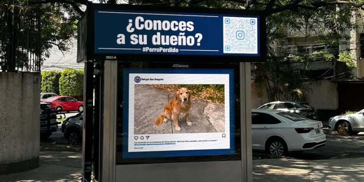 Medio de publicidad exterior ayuda a que perrito encuentre a su dueño