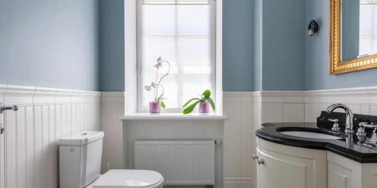 TRIVIA | ¡Descarga y descansa! Olvídate de limpiar constantemente tu retrete con estos tips