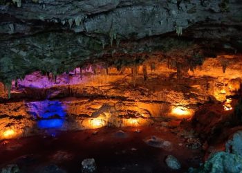 Los cenotes: Tesoros naturales exclusivos de México, presentes únicamente en la Península de Yucatán