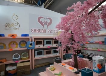 Temu ayuda a una marca de artículos para mascotas a aumentar sus ventas y crear empleo en México