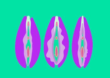 El 50% de las mujeres afirma que nunca ha visto su vulva: La autoexploración sigue siendo un tabú