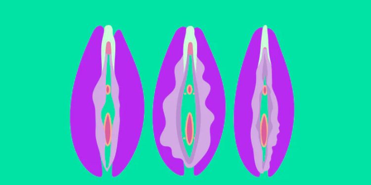 El 50% de las mujeres afirma que nunca ha visto su vulva: La autoexploración sigue siendo un tabú