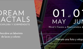 Las actividades de belleza y arte que no te puedes perder en Plaza Satélite