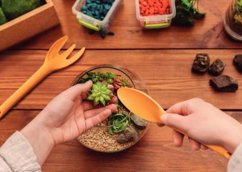 Cosechar en el jardín de la casa es posible y terapéutico, ¿qué herramientas necesitas?