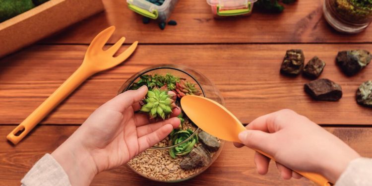 Cosechar en el jardín de la casa es posible y terapéutico, ¿qué herramientas necesitas?