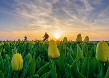 Día Mundial de la Bicicleta: Las mejores rutas para pedalear por el mundo