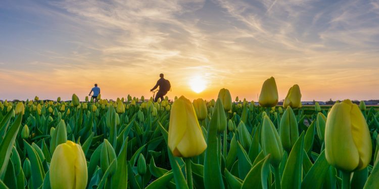 Día Mundial de la Bicicleta: Las mejores rutas para pedalear por el mundo