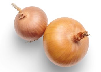 Día Nacional de la Cebolla