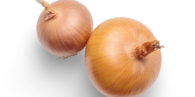 Día Nacional de la Cebolla