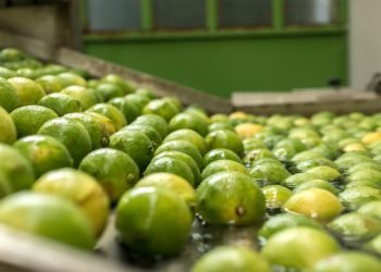 La inocuidad alimentaria es posible con tecnologías seguras y con un enfoque científico