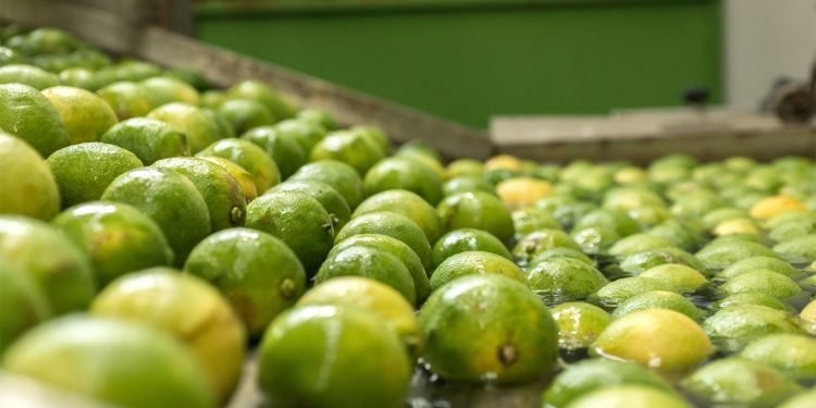 La inocuidad alimentaria es posible con tecnologías seguras y con un enfoque científico